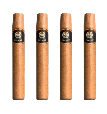 Xo Havana Cigar 600 Puff ( Pack of 10 )